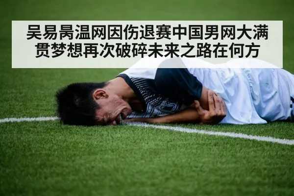 吴易昺温网因伤退赛中国男网大满贯梦想再次破碎未来之路在何方